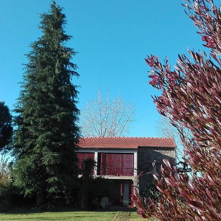 Casa Do Cruzeiro Casa de hóspedes Paredes de Coura Exterior foto