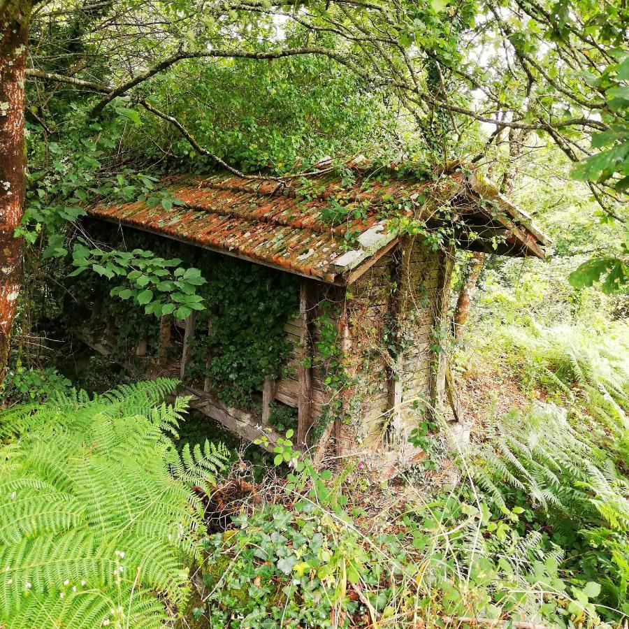 Casa Do Cruzeiro Casa de hóspedes Paredes de Coura Exterior foto
